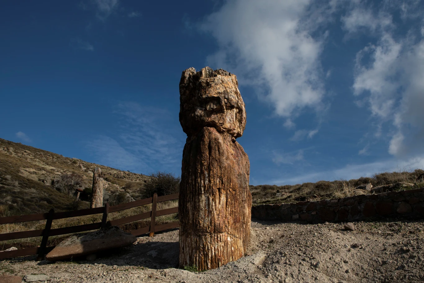Wtedy powołano też do życia Muzeum Historii Naturalnej Skamieniałego Lasu na Lesbos. 