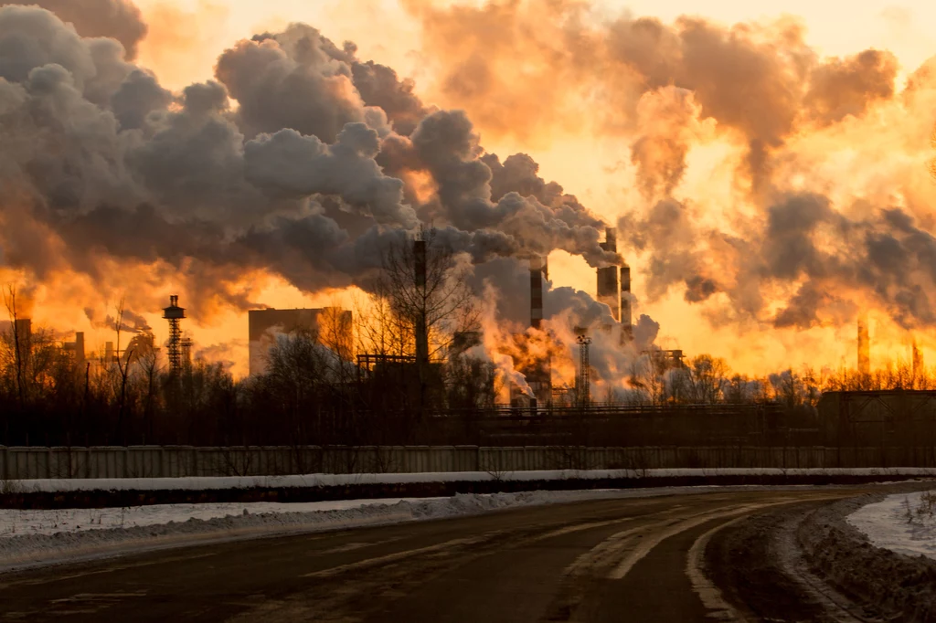 Smog może pogarszać nasz wzrok