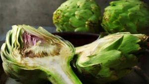 Wyciąg z karczocha stosuje się dzisiaj m.in. w leczeniu chorób układu pokarmowego, cukrzycy, miażdżycy, czy przy innych zaburzeniach metabolicznych.