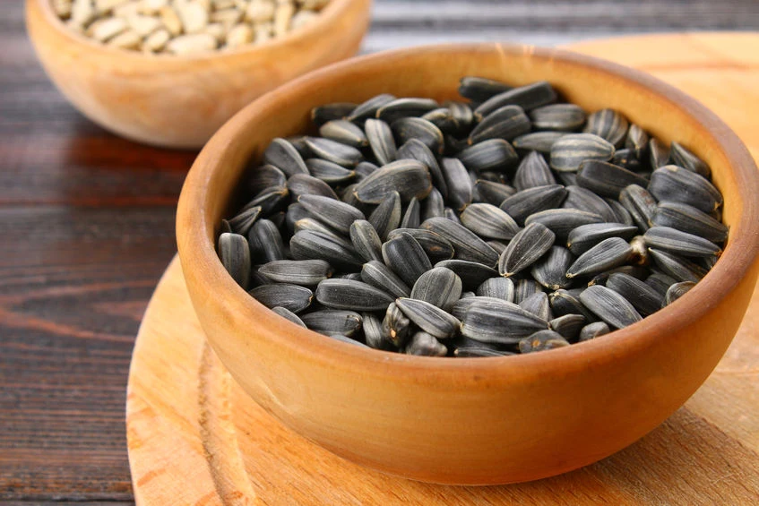 Pestki słonecznika są smaczną przekąską