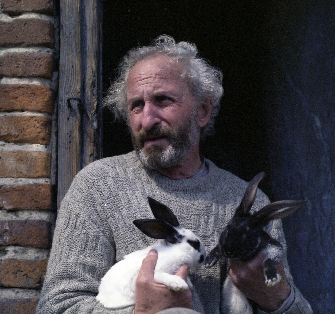 Franciszek Pieczka w "Pogrzebie kartofla"