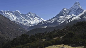 Z Himalajów może znikną najstarszy mech na świecie. Winne zmiany klimatu