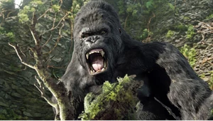 King Kong to wyłącznie wizja filmowców z Hollywood? Okazuje się, że niekoniecznie...