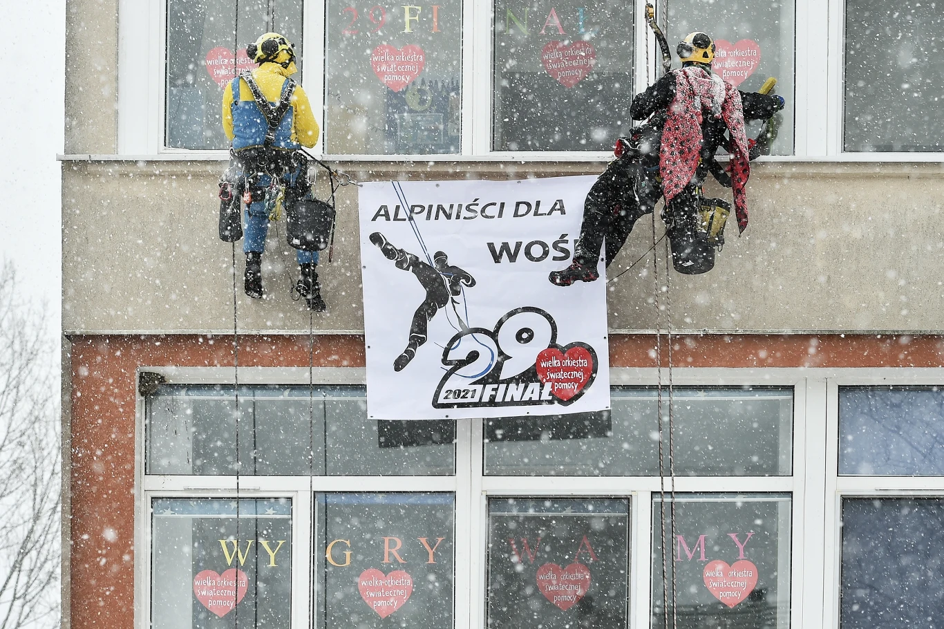 Akcja "Alpiniści dla WOŚP" w Szpitalu Morskim PCK w Gdyni. Trójmiejscy alpiniści przebrani w stroje bajkowych bohaterów umyli okna na oddziale dziecięcym Akcja "Alpiniści dla WOŚP" w Szpitalu Morskim PCK w Gdyni. Trójmiejscy alpiniści przebrani w stroje bajkowych bohaterów umyli okna na oddziale dziecięcym