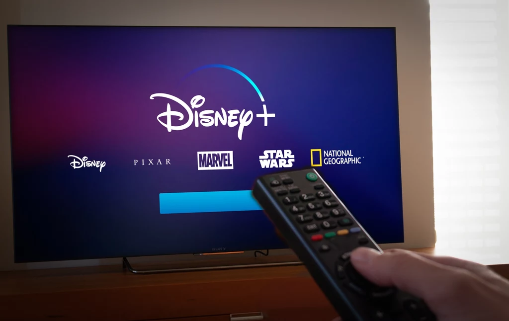 Disney+ zapowiada koniec współdzielenia kont