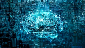 ​Komórki ludzkiego mózgu dla sztucznej inteligencji 