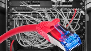 Cyfryzacja będzie głównym trendem w rozwoju firm w najbliższym czasie?