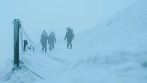 Zima na Śnieżce (zdj. z lutego 2019 roku)