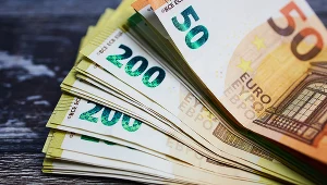 Euro w Polsce to nasz interes narodowy. Co na to Polacy? 