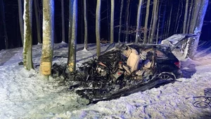 Wjechał w drzewo. Licznik zatrzymał się na 120 km/h...