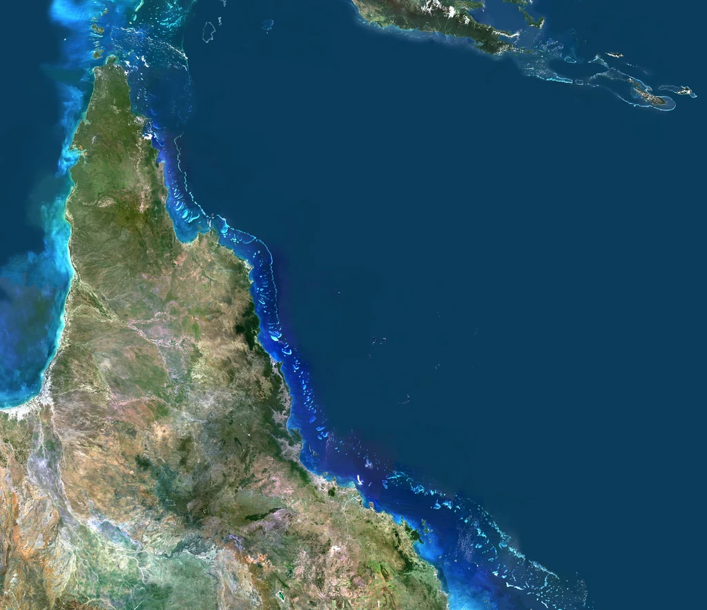 Średnia temperatura w wodach Wielkiej Rafy Koralowej może wzrosnąć nawet do 31 st. w skali Celsjusza 