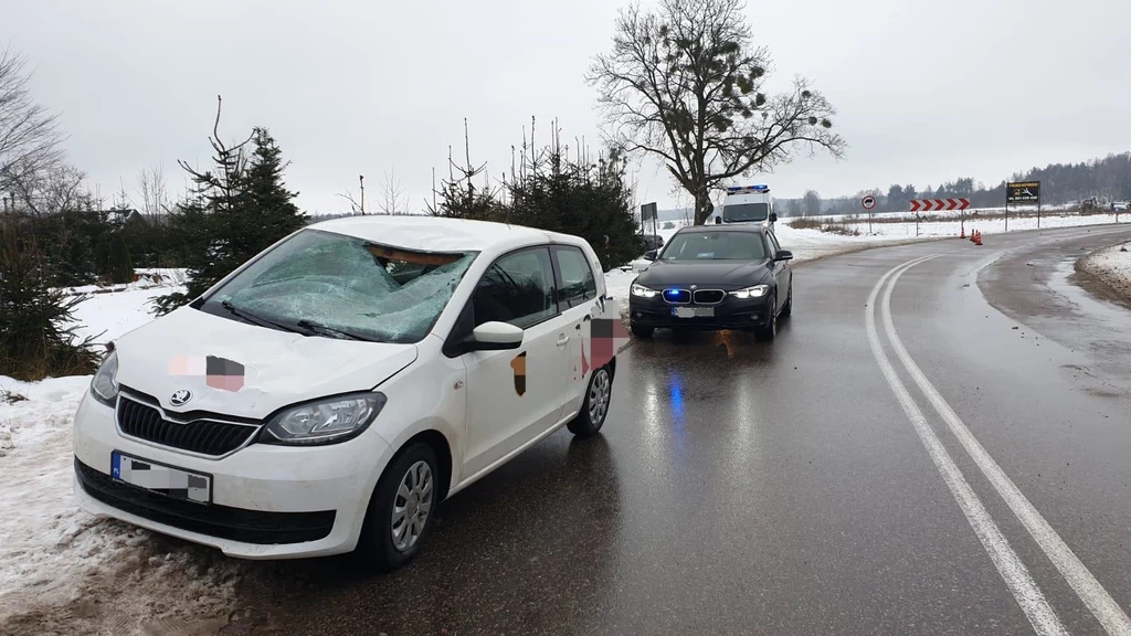 Bryła lodu rozbiła szybę i wpadła do auta, raniąc kierowcę