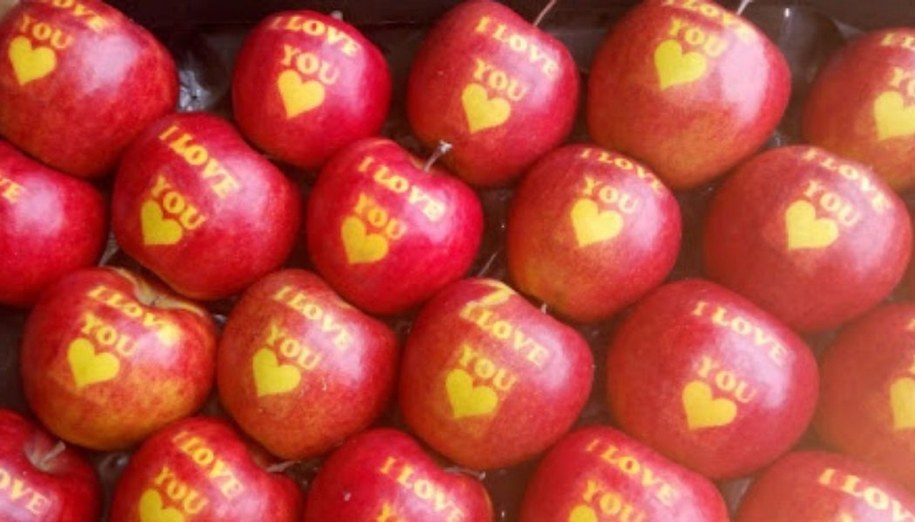 źródło: agrotrader.pl