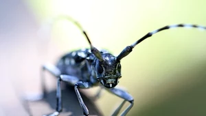 ​Specjaliści od brudnej roboty