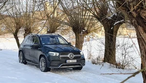 Mercedes GLE 350 de