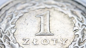Oszczędności Polaków nie imponują. Co piąty w ogóle nie ma zabezpieczenia finansowego. Zdj. ilustracyjne