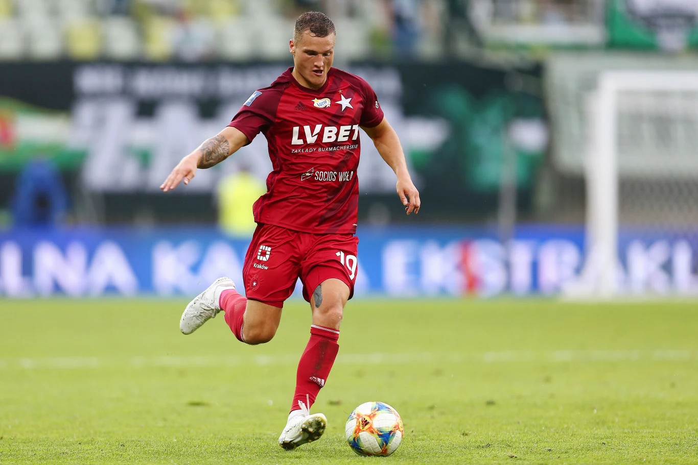 David Niepsuj David Niepsuj