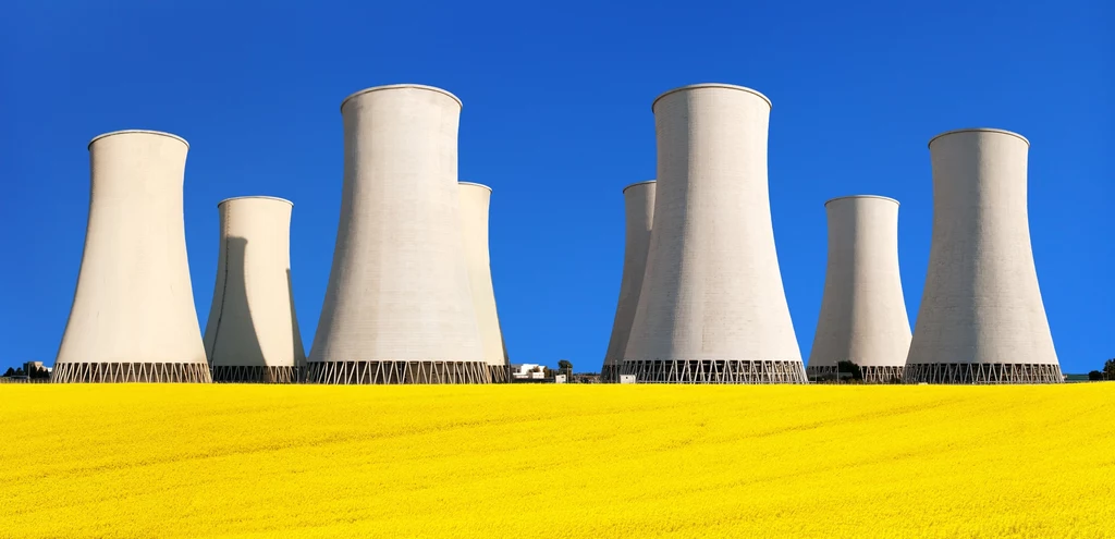 800 francuskich naukowców sprzeciwia się inwestycji w kolejne elektrownie jądrowe