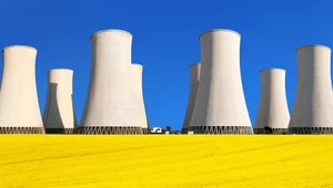 Francuscy naukowcy mówią "nie" elektrowni jądrowej. Rząd się nie ugiął