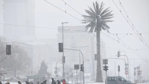 Atak zimy w Warszawie; zdj. z 8 lutego br.