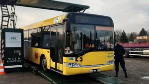 Połowa skontrolowanych autobusów okazała się niesprawna!