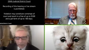 Kadr z nagrania z  kanału 394th District Court of Texas - Live Stream