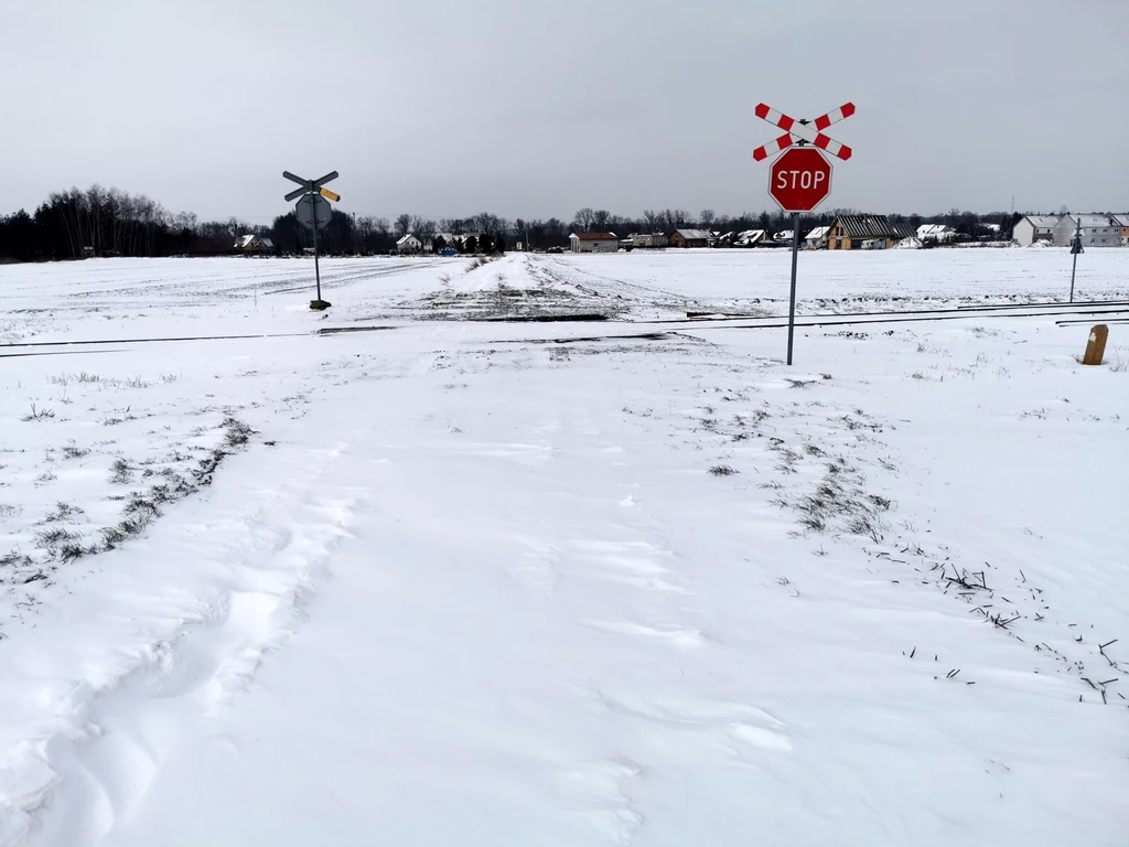 Jeden wypadek wydarzył się na przejeździe niestrzeżonym, ale drugi - na strzeżonym, gdzie nie opuszczono rogatek