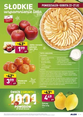 1001 powodów by wpaść do Aldi