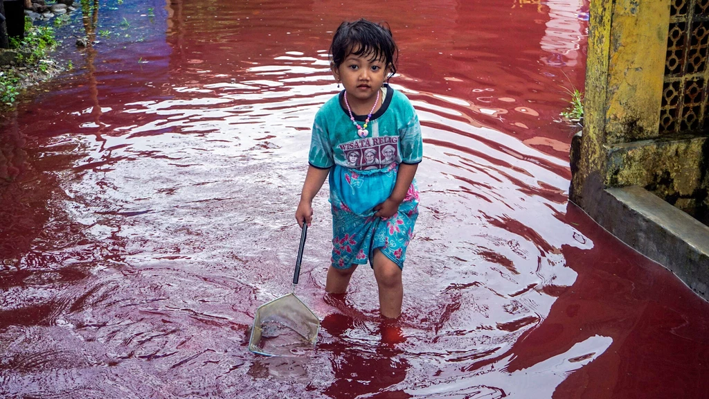 Niecodzienne widoki na indonezyjskiej Jawie