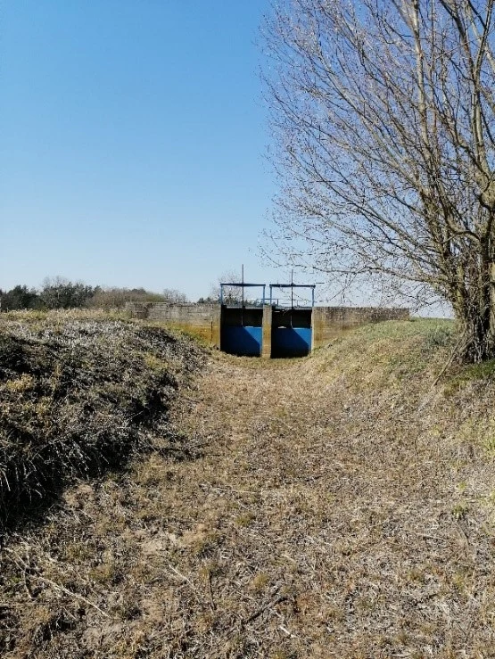 Wyschnięte koryto Warcicy (kwiecień 2020r.) Wyschnięte koryto Warcicy (kwiecień 2020r.)