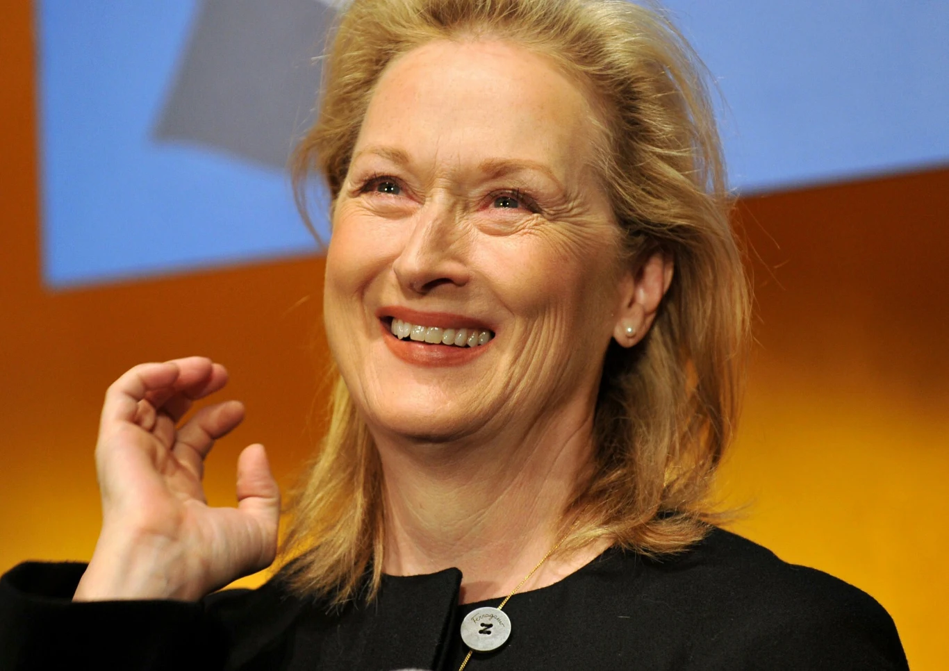 Meryl Streep Meryl Streep
