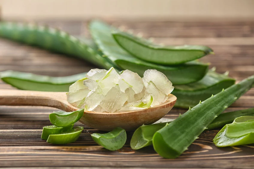 reformhaus aloe vera saft Bio Aloe Vera Saft kaufen - Vegan