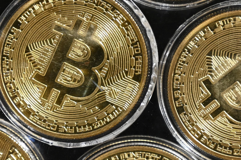 Mianowicie od pewnego czasu bitcoin bije swoje rekordy dotyczące wartości. Obecnie jedna jednostka internetowej waluty oscyluje w granicy 180 tysięcy złotych. Nagroda "Hajka" obecnie warta jest zatem ok. 4.5 miliona euro. Mianowicie od pewnego czasu bitcoin bije swoje rekordy dotyczące wartości. Obecnie jedna jednostka internetowej waluty oscyluje w granicy 180 tysięcy złotych. Nagroda "Hajka" obecnie warta jest zatem ok. 4.5 miliona euro.