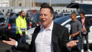 Nielegalny handel akcjami Tesli? Elon Musk i jego brat pod lupą