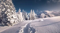 Tatry: Rusinowa Polana i Gęsia Szyja

Rusinowa Polana to jedno z najpiękniejszych i najłatwiej dostępnych miejsc w Tatrach – również zimą. Miejsce to słynie z zapierającego dech w piersiach widoku na panoramę Tatr. Zobaczysz stąd między innymi Baranie Rogi, Lodowy Szczyt, Rysy i Gerlach. Jeśli warunki pozwolą, można się pokusić o wejście na Gęsią Szyję (1489 m n.p.m.) – wysiłek związany z mozolną wspinaczką po schodach wynagrodzi nam kolejna dawka pięknych widoków.