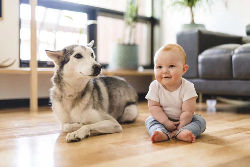 Pies to najlepszy przyjaciel dziecka