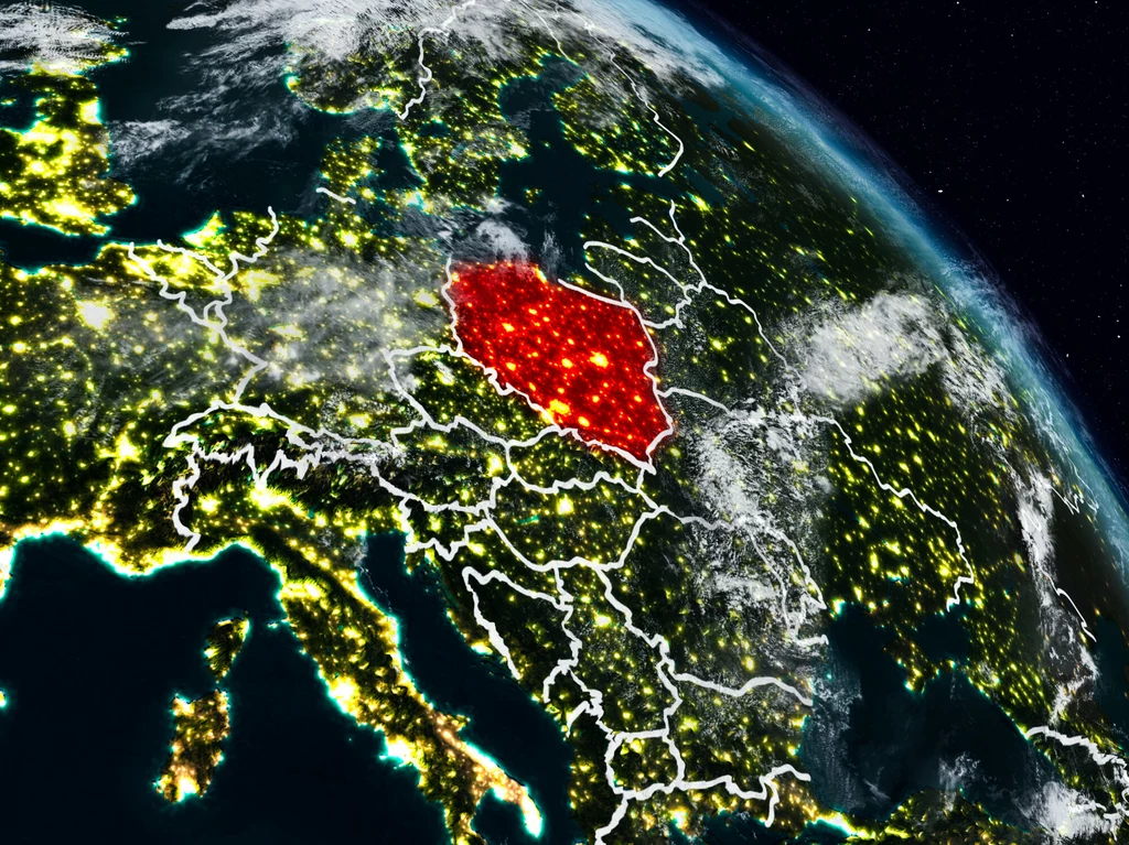 Bioróżnorodność może uchronić nas przed wirusami