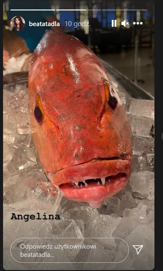 Takie atrakcje czekają na Tadlę na Malediwach! Smaczna rybka? Takie atrakcje czekają na Tadlę na Malediwach! Smaczna rybka?