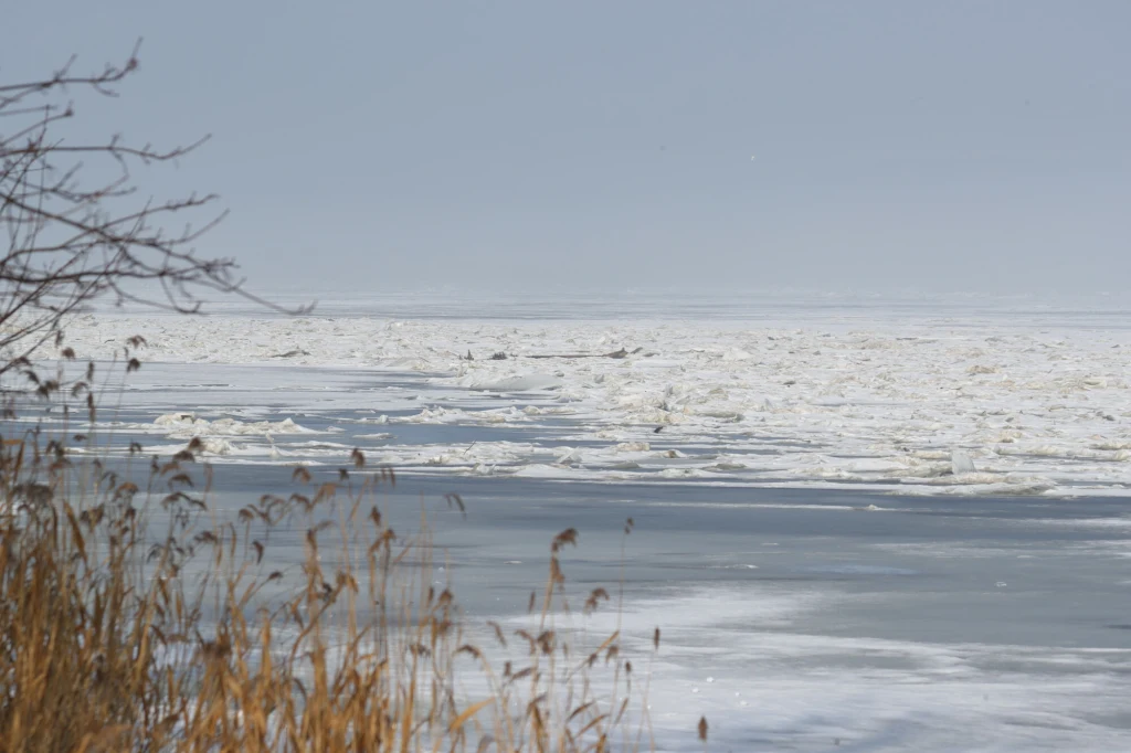 Podnosi się poziom Wisły; zdj. ilustracyjne Podnosi się poziom Wisły; zdj. ilustracyjne