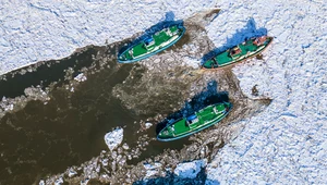 ​Płock: Zatory lodowe na Wiśle spowodowały 1,8 mln zł strat
