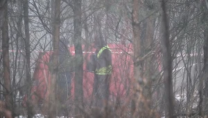 Miejsce wypadku prywatnego śmigłowca w pobliżu rzeki Dokawy w okolicach Pszczyny (woj. śląskie)