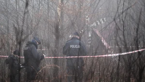 Miejsce wypadku prywatnego śmigłowca w pobliżu rzeki Dokawy w okolicach Pszczyny (woj. śląskie)