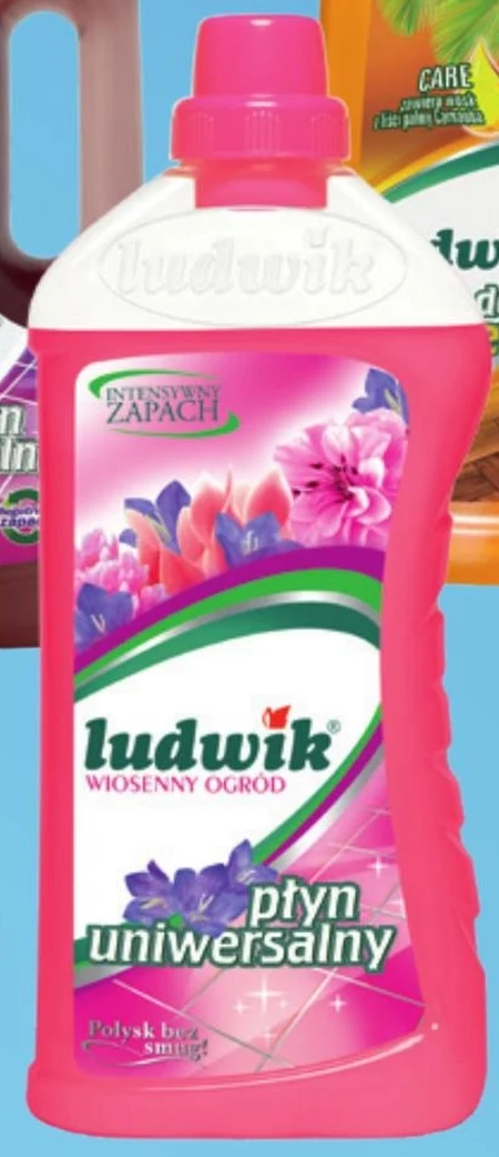 Płyn uniwersalny Ludwik