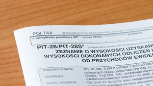 1 marca upływa termin złożenia zeznania PIT-28