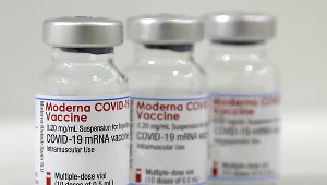 Szczepionki Moderny; zdj. ilustracyjne