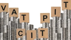 Budżet po styczniu: Wyższe wpływy z VAT, CIT i PIT