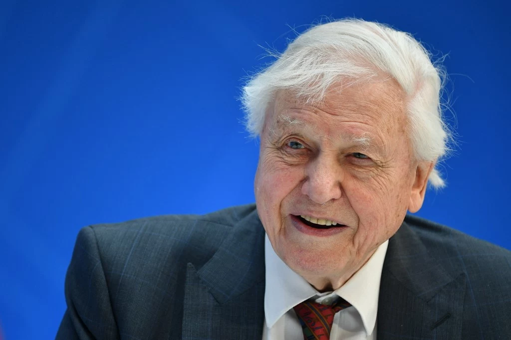 David Attenborough nie daje nadziei dla naszej Ziemi, jeśli nie zaczniemy współpracować razem