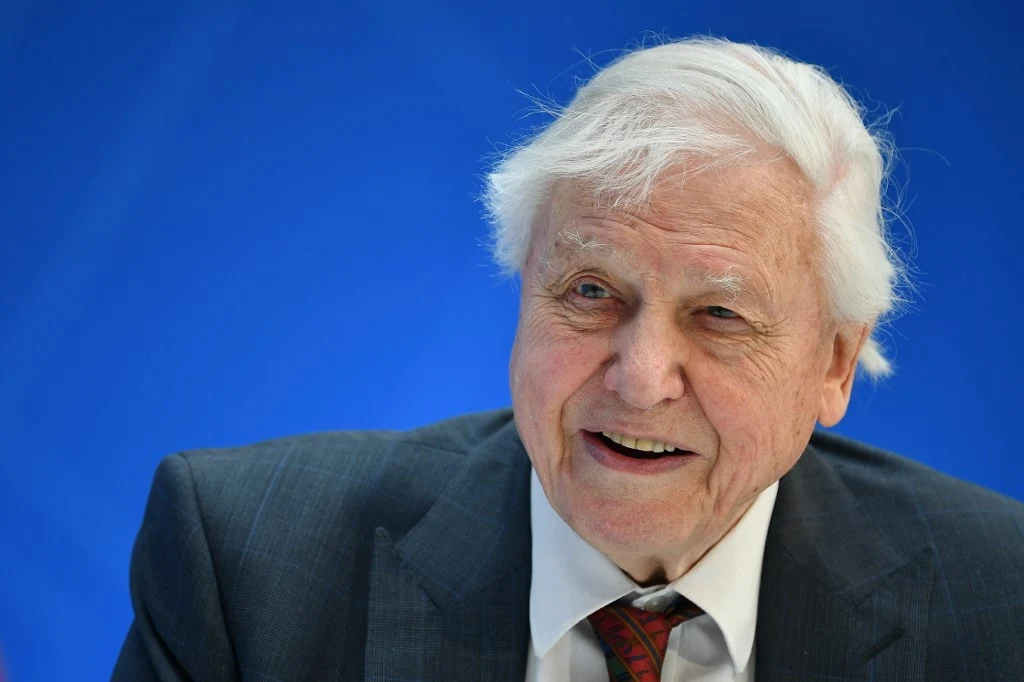 David Attenborough nie daje nadziei dla naszej Ziemi, jeśli nie zaczniemy współpracować razem David Attenborough nie daje nadziei dla naszej Ziemi, jeśli nie zaczniemy współpracować razem