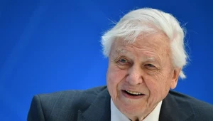 David Attenborough: Skończył nam się czas. Zmiany klimatyczne to poważny problem