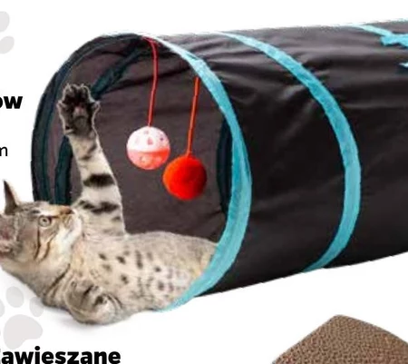 Tunel dla kota